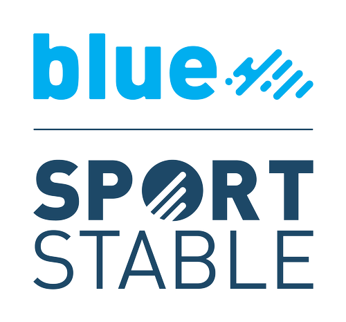 BlueFCU_StrategicAnchor_SportStable_Logo_Vertical_4C